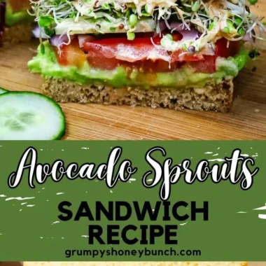 Avocado sprouts sandwich featuring fresh ingredients and healthy toppings