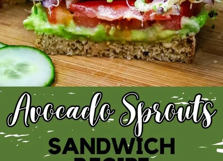Avocado sprouts sandwich featuring fresh ingredients and healthy toppings