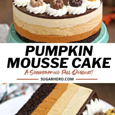 Delicious Pumpkin Chocolate Mousse Cake topped with chocolate ganache and pumpkin spice.