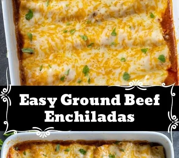Plate of savory beef enchiladas topped with cheese and sauce