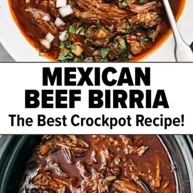 A hearty bowl of Mexican beef birria with fresh herbs and spices.