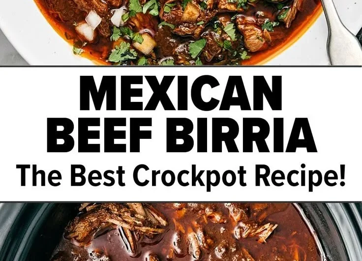 A hearty bowl of Mexican beef birria with fresh herbs and spices.